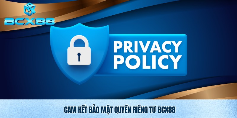 Quyền Riêng Tư Bcx88 – Cam Kết Bảo Vệ Thông Tin Người Chơi 3 Quyền riêng tư Bcx88 và cam kết từ nhà cái