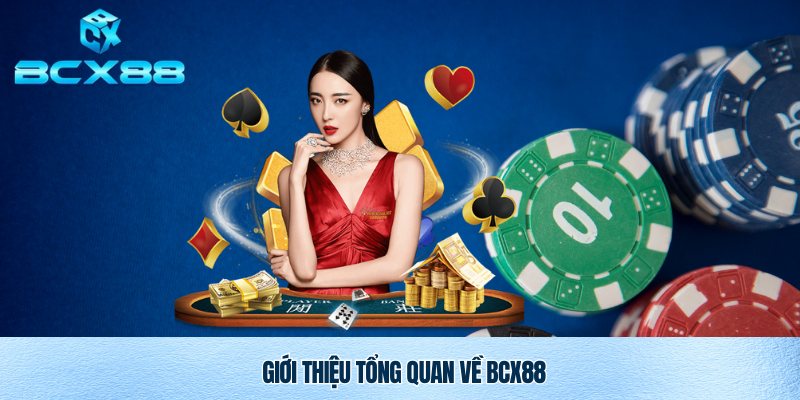 BCX88 Trang Web Cá Cược Trực Tuyến Uy Tín 1 Tổng quan về nhà cái uy tín BXC88